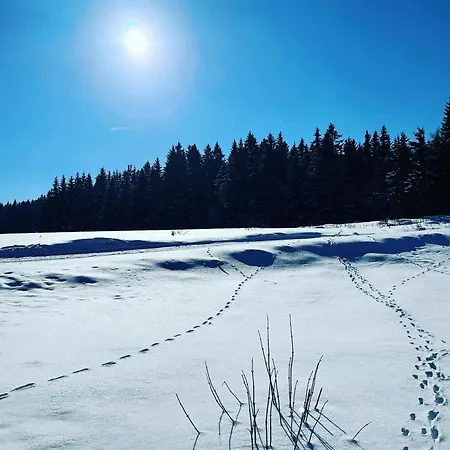 Alaska شاليه ياخيموف