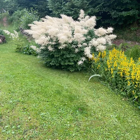 Alaska Alpesi faház