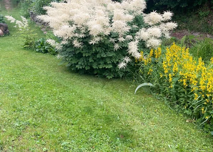 Alaska Chalé