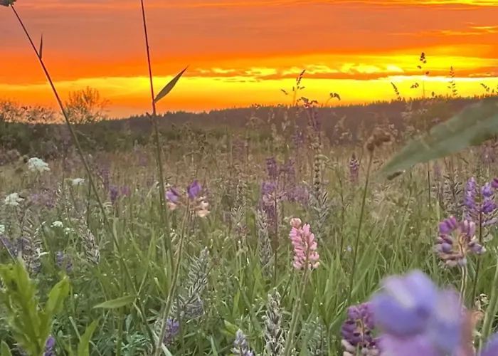 Alaska *